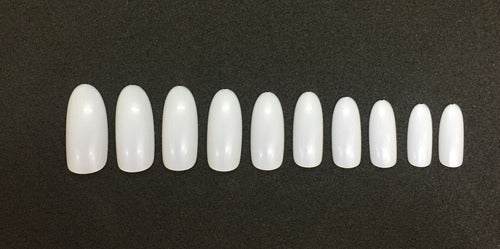 Jessamy Artificial Nails Tips x 100 Round + U2000 Adhesive 3