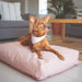 MyPaw Soft Baxter Medium Dog and Cat Bed Cover 4