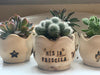 Cactus and Succulents Souvenirs 1