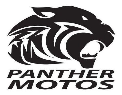 Honda Storm Voltage Regulator by Pietcard at Panther Motos 5
