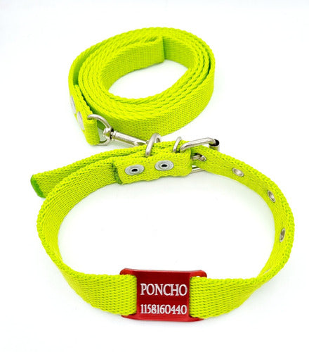 Medallas para perros Red Tag + Green Apple Collar and Leash 0