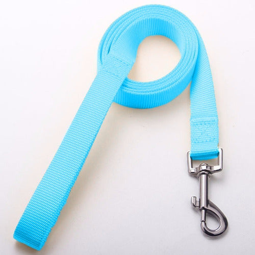 Nylon Collar and Leash Set for Dogs and Cats Various Sizes 72