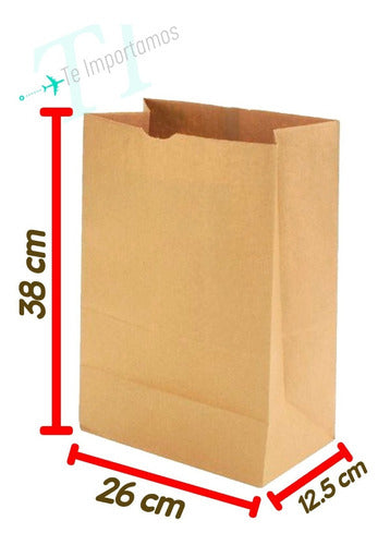 Set of 100 Eco-Friendly Kraft Paper Delivery Bags 26x38x12.5 cm 1