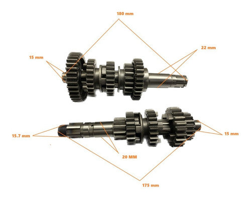 Zanella Patagonian Gearbox Gear Shafts 1