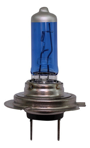 CENTROREPUESTOS H7 12V 55W Blue Lamp 0