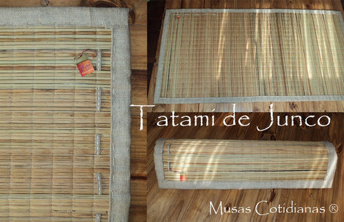 Tatami De Junco 1 X 2m. 1