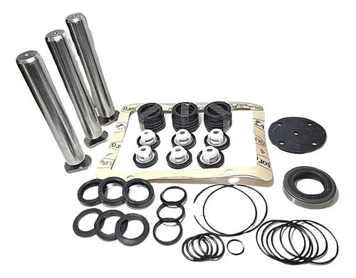 Kit De Reparo Lavadora Wayne Lu / Hu 3401 + 3 Pistões 2