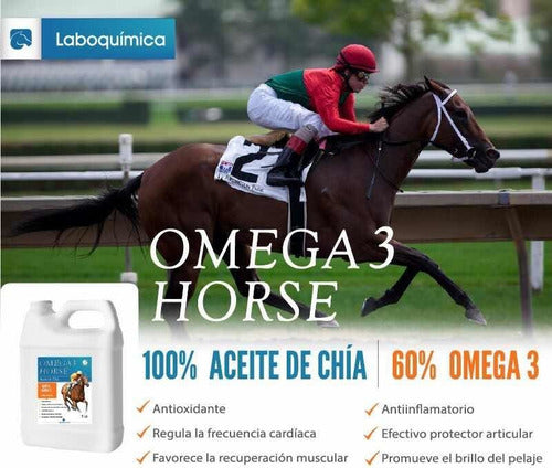 Omega 3 Horse Chia, Aceite Para Equinos. Bidón X 1 Lt. 1