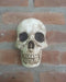 Artisan Wendy Skull Hanging Plaque 0