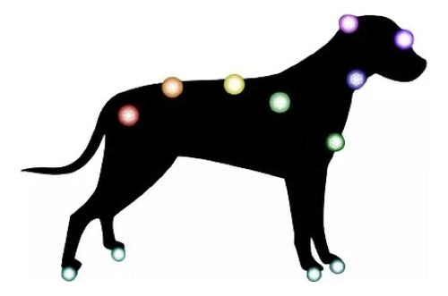 Reiki for Pets (Dogs, Cats) 0