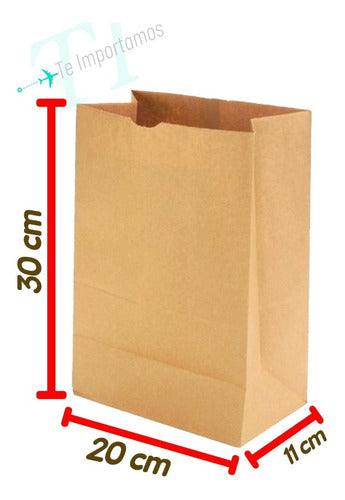 Te Importamos Bolsa Delivery Papel Kraf 20x30x11 Cm. Ecologicas X 100 U. 1