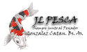 Jlpesca Super Combo!! 50 Sliding Pass-Through Weights from 10 to 50g 1