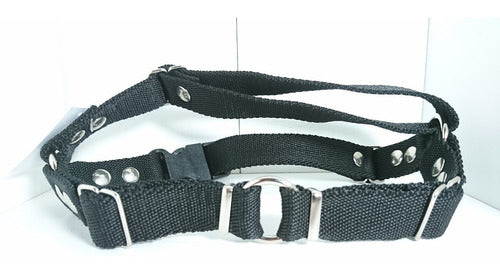 No Pull Anti-Pulling Dog Harness for Chest and Throat For My Dog Size 3,4 21