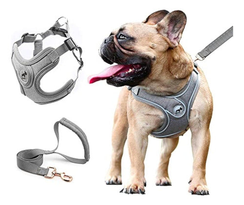 Saegypet Dog Harness with Leash, Adjustable No-Pull Harness 0