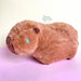 Bazar Don Acuña Capibara Plush Toy 30 cm 1