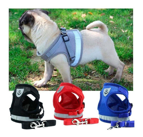 Padded Harness with Leash for Small Dogs and Cats - Various Sizes 27