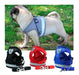 Padded Harness with Leash for Small Dogs and Cats - Various Sizes 27