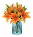 RERXN Realistic Orange Latex Artificial Lilium Flowers X5 0