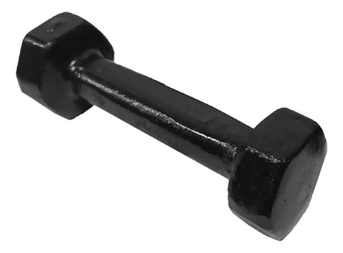 GymTonic Cast Iron Dumbbell 9 Kg 0