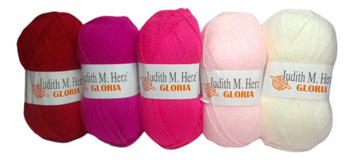 Pack of 5 Fine Wool Gloria by Judith Herz 100g Skeins 3