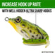 Lunkerhunt Lunker Frog - Freshwater Fishing Lure, Realistic Design, Green Tea 3