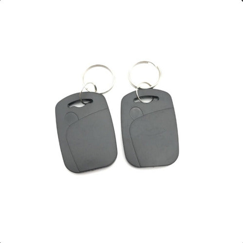 Ityt Gray RFID Tag Keyfob 125 kHz TK4100 EM4100 Rectangular 0