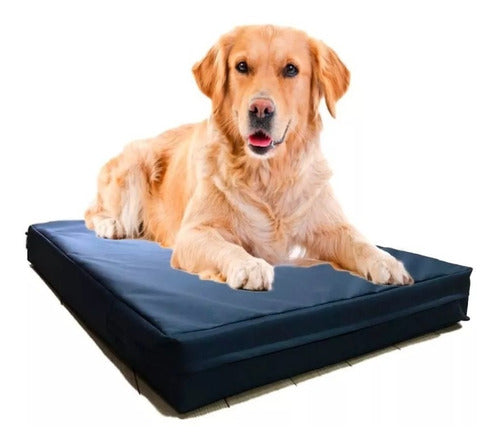 Stars Pet Mattress Pad 8 Cms. 80 X 60. Waterproof 3