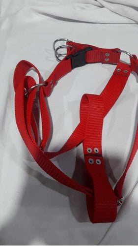 Reinforced Nato Harness for Large Breed Dogs with Leash 2