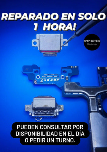 Samsung Pin Replacement for S9/S9 Plus/S8/S8 Plus - Caballito 1