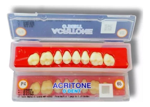 Acritone Teeth X1 Selected for Posterior Inferior Molars 4