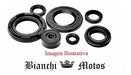 Bianchi Motos Yamaha Crypton Motor Seal Kit 0