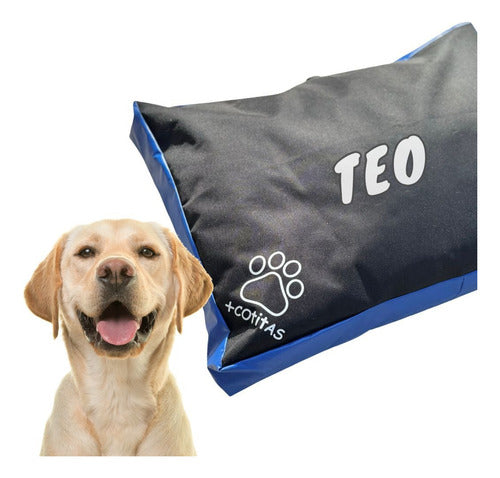 Cotitas Large Dog Bed 110x70 Anti-Tear Customized!! 4