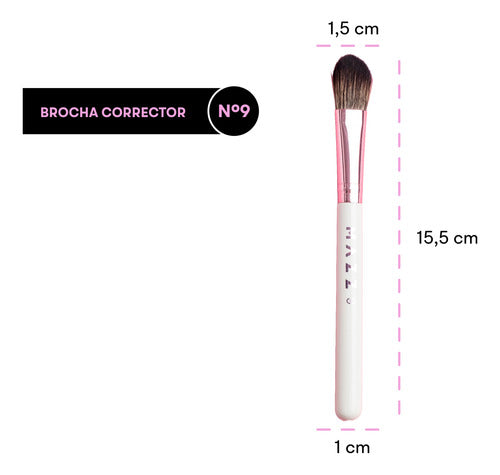 Mazz Make Up Set of 6 Brushes - Perfect for All Your Makeup Needs 3