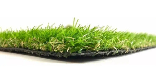 Ambiance Deco 10 M2 (2.00 X 5.00) Very Realistic Tricolor Synthetic Grass 20 Mm 0