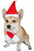 Visky Pet Dog Christmas Costume Perro Santa Hat Con Bufanda 1