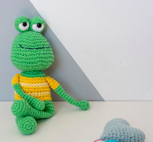 Crochet Knitted Amigurumi Frog 1