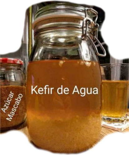 Kefir Artesanal Kefir De Agua 0