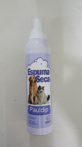 PaulDip Dry Foam 250 mL Hot Sale in Mundo Acuatico 4