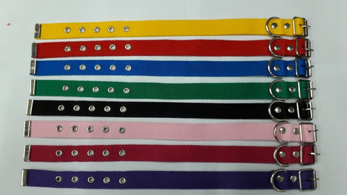 Combo Pets Shop 20 Collars / 10 Harnesses / 10 Leashes Various Colors 2