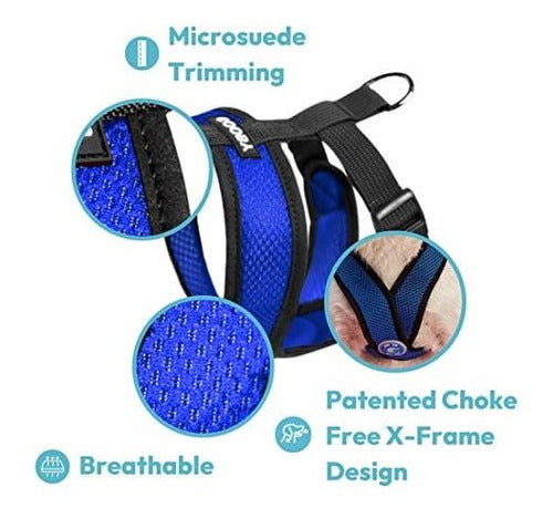 Gooby Comfort X Head-In Harness - Blue, Medium 3