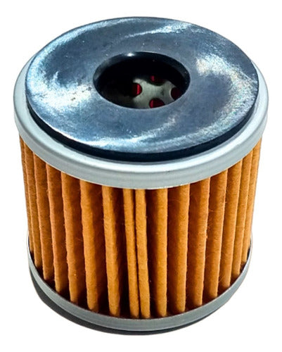 TNT 25/250 Benelli Original Type Oil Filter 1