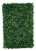 Expreso Polar Jardin Vertical Artificial Muro Verde 0