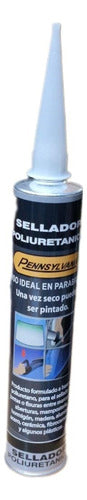 Pennsylvania Urethane Sealant Windshield Adhesive Black 1