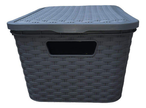 2 Plastic Rattan-Like Medium-Size Storage Baskets with Lid 22