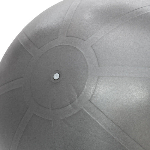 Proyec Swiss Gym Ball 65 cm + Fitness Gym Inflator 14