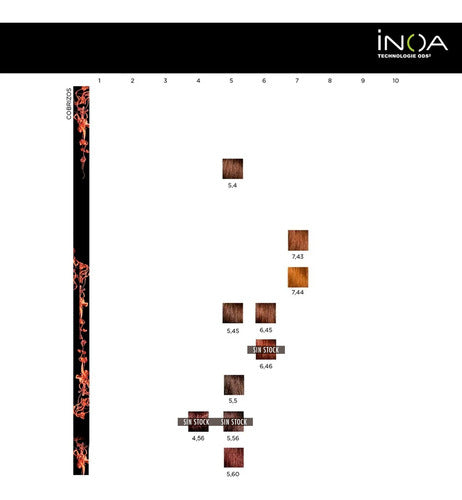 L'Oreal Inoa Kit x 2 Ammonia-Free Hair Dye Coloration 6