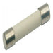 Chinas Ceramic Fuse 20mm-8A for Microwave 1