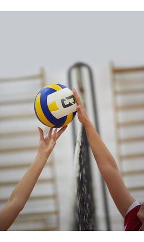 Sixty Professional Indoor Outdoor Volleyball N°5 1