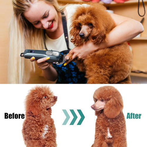 AIBORS Animal Hair Clippers for Dogs and Cats 4