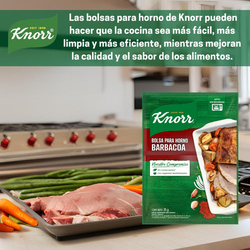 Knorr Barbecue Flavor Cooking Bags 15u X 25g 2